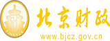 揉捏花核流水北京市财政局