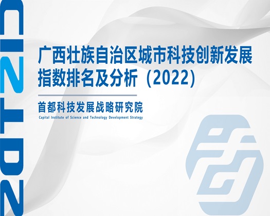 男生屌女生的逼【成果发布】广西壮族自治区城市科技创新发展指数排名及分析（2022）